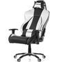 Cadeira Gamer AKRacing Premium Black Silver V2 - AK-7002-BS